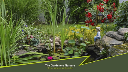 The Gardeners Nursery Hero Image