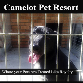 Camelot Pet Resort