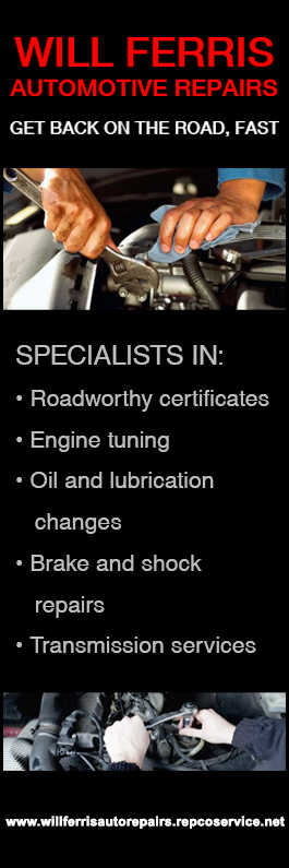 Will Ferris Automotive Repairs