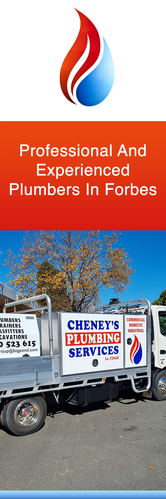 Cheney's Plumbing Services
