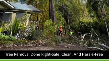 Micks Tree Worx Hero Image