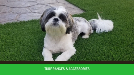 MBA Grass Hero Image