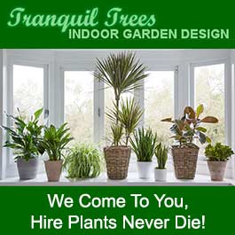 Tranquil Trees Indoor Garden Design