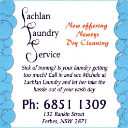 Lachlan Laundry Service
