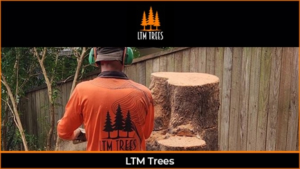 LTM Trees Hero Image