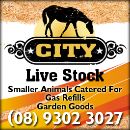 City Livestock