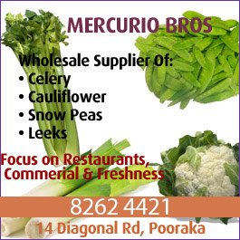 Mercurio Bros