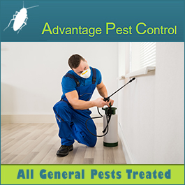 Advantage Pest Control