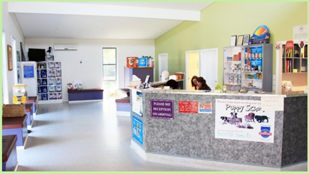 Taree Veterinary Hospital Hero Image