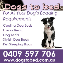 Dogs To Bed