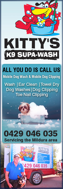 Kitty's K9 Superclip & Wash