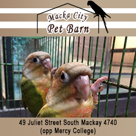 Mackay City Pet Barn