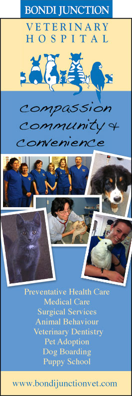 Bondi Junction Veterinary Hospital