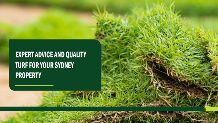 Aussie Turf and Soil Hero Image