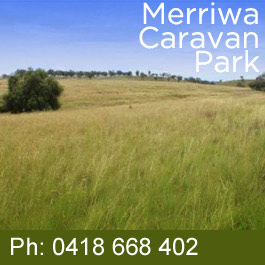 Merriwa Caravan Park