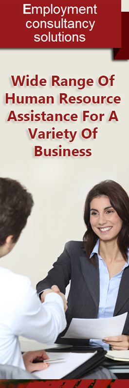 Employment Consultancy Solutions