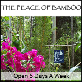 The Peace Of Bamboo