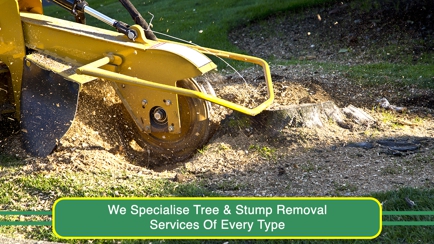 Heritage City Stumping Service Hero Image