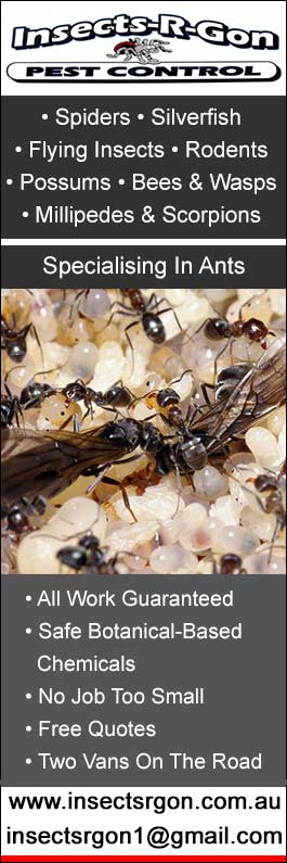 Insects-r-gon Pest Control
