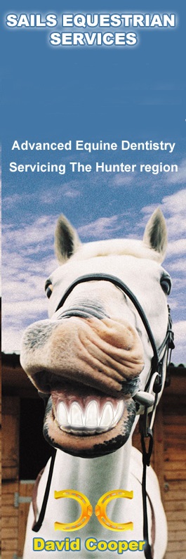 David Cooper Horse Dentist