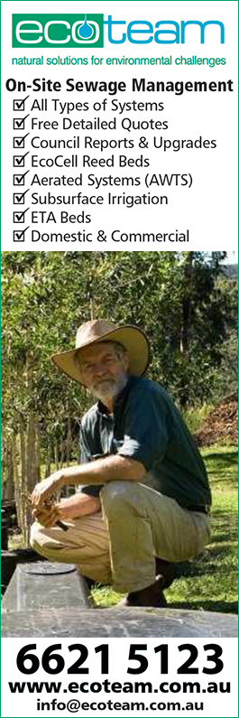 Ecoteam