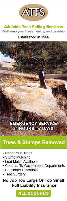 Adelaide Tree Felling Services