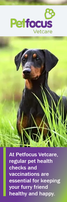PetFocus Vetcare