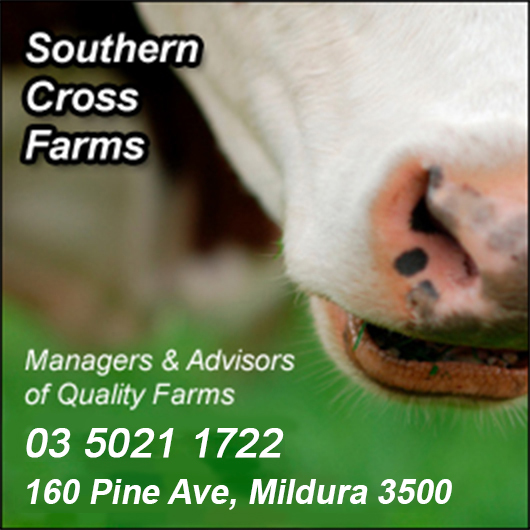 Southern Cross Farms