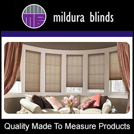 Fashion WindowBlinds