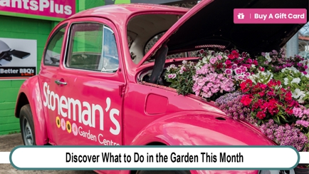 Stoneman's Garden Centre Hero Image