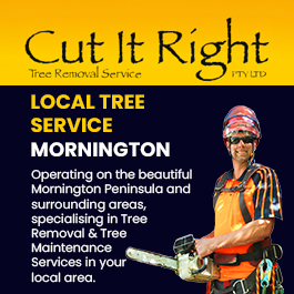 Cut It Right Tree Service