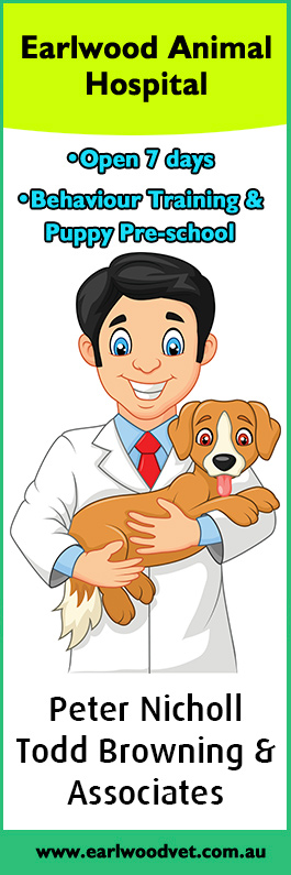 Earlwood Animal Hospital