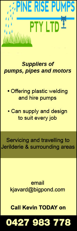 Pine Rise Pumps