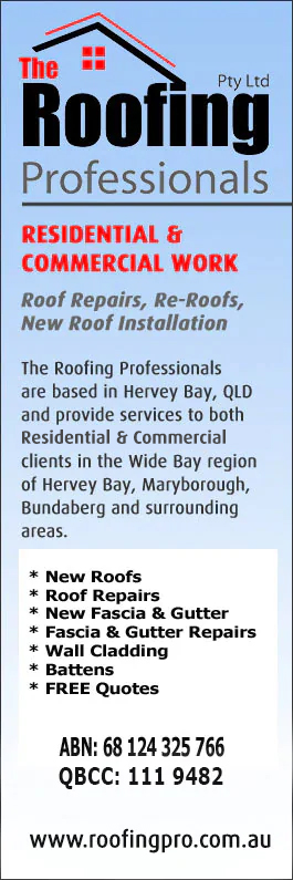 The Roofing Professionals