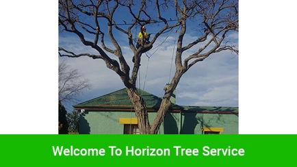 Horizon Tree Service Hero Image