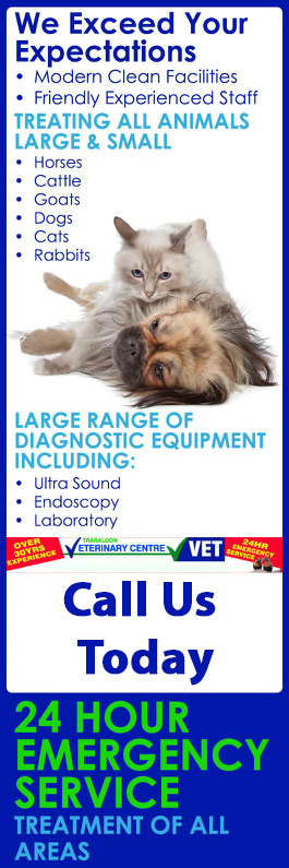Traralgon Veterinary Centre