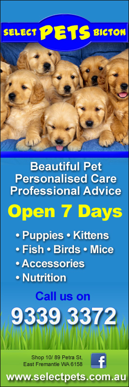 Select Pets Bicton