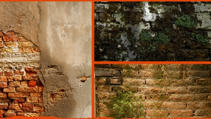 Rising Damp Solutions Hero Image