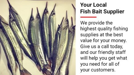 Seaford Bait Pty Ltd Hero Image
