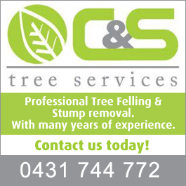 C & S Tree Services