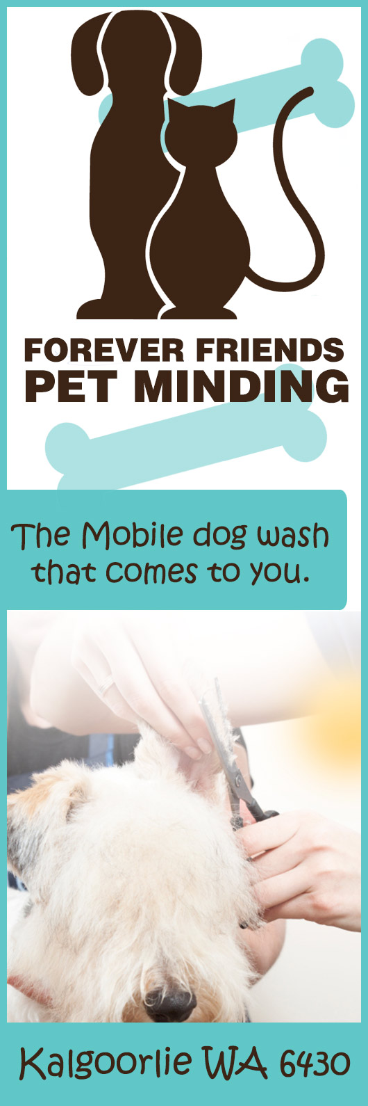 Forever Friends Pet Minding Mobile Dog wash & Grooming Services