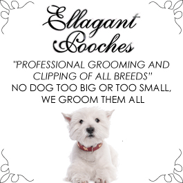 Elagant Pooches