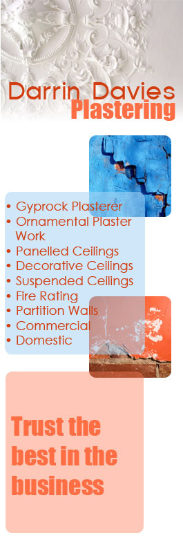 Darrin Davies Plastering