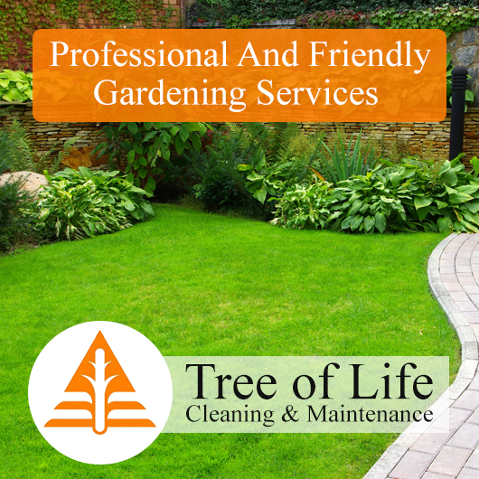 Tree Of Life Cleaning And Maintenance