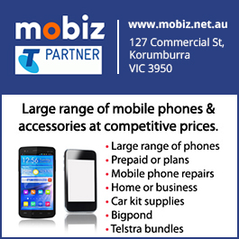 Mobiz