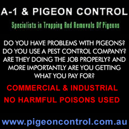 Australian Pigeon Control Pty Ltd