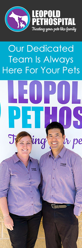 Leopold Pet Hospital