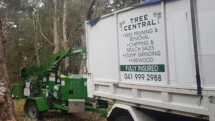 Tree Central Hero Image