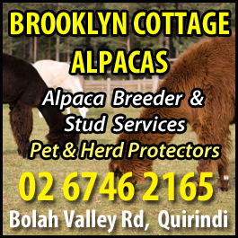 Brooklyn Cottage Alpacas