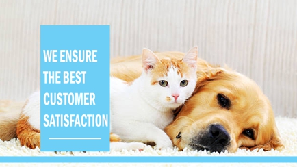 South Paw Dog Grooming Hero Image